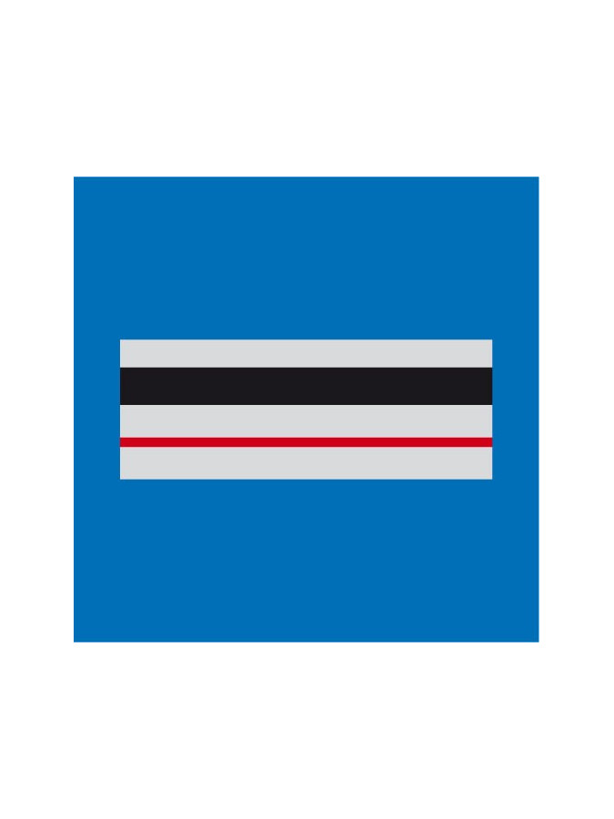 CHEF DE POLICE