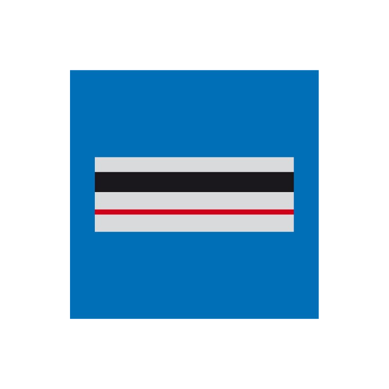 CHEF DE POLICE