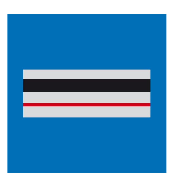 CHEF DE POLICE