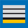 DIRECTEUR STAGIAIRE