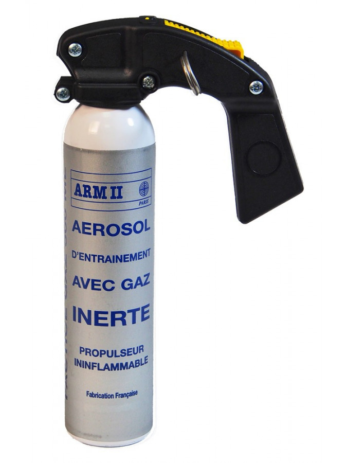 AEROSOL ENTRAINEMENT 300 ML