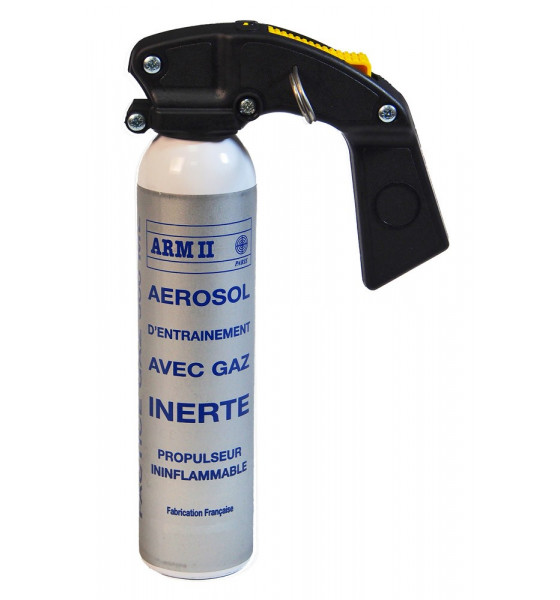 AEROSOL ENTRAINEMENT 300 ML