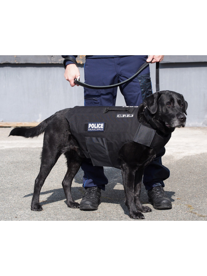 PROTECTION POUR CHIENS - PARE-COUPS ET PARE-LAMES