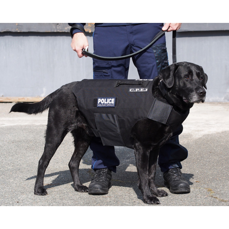 PROTECTION POUR CHIENS - PARE-COUPS ET PARE-LAMES