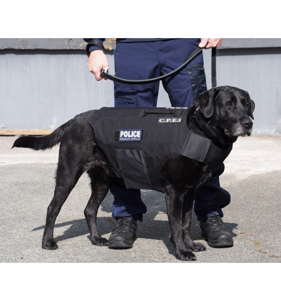 PROTECTION POUR CHIENS - PARE-COUPS ET PARE-LAMES