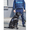 HARNAIS POUR CHIEN