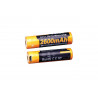 pile rechargeable fenix