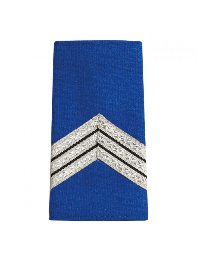 fourreaux d'épaules gardien principal