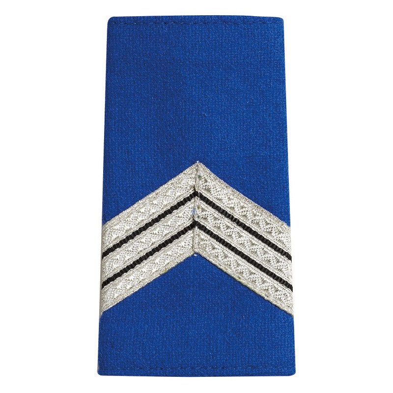 fourreaux d'épaules gardien principal