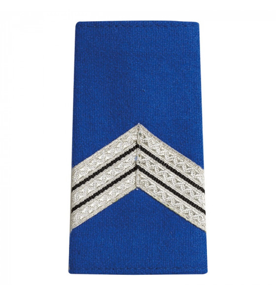 fourreaux d'épaules gardien principal