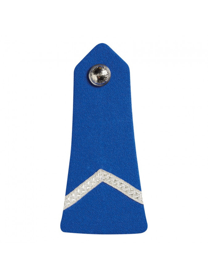 pattes d'épaules gardien stagiaire