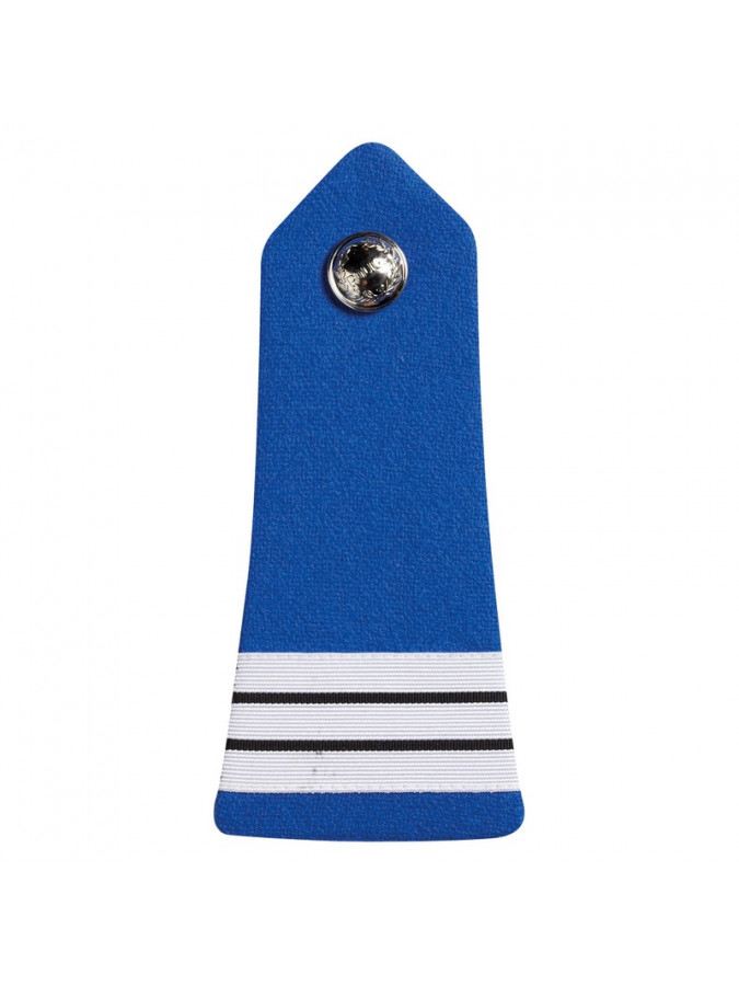 PATTES D'EPAULES CHEF DE SERVICE CLASSE EXCEPTIONNELLE