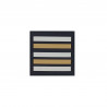 GRADE GENDARMERIE DEPARTEMENTALE LIEUTENANT COLONEL