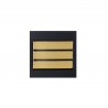 grade gendarmeir mobile capitaine