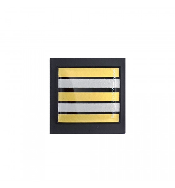 GRADE GENDARMERIE MOBILE LT COLONEL