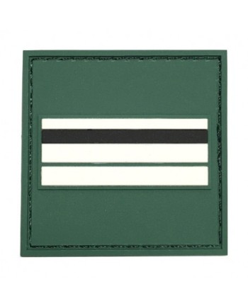 GALON DE POITRINE PVC GARDE CHAMPETRE CHEF PRINCIPAL