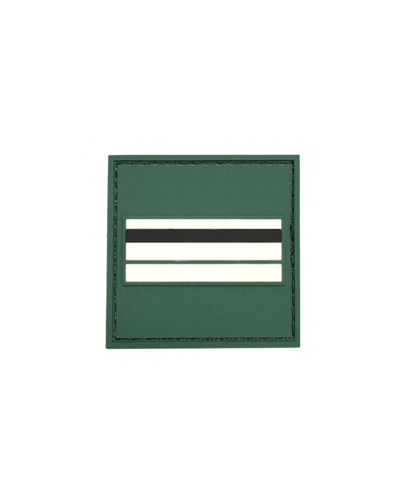 GALON DE POITRINE PVC GARDE CHAMPETRE CHEF PRINCIPAL