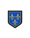 ECUSSON GENDARMERIE REGION ILE DE FRANCE BRODE