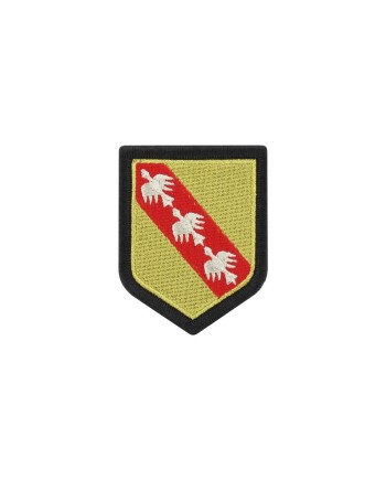 ECUSSON GENDARMERIE REGION LORRAINE PLASTIFIE