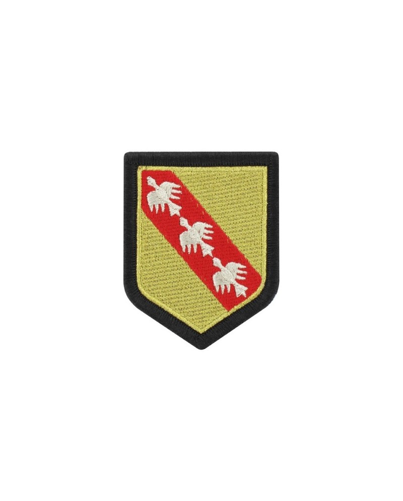 ECUSSON GENDARMERIE REGION LORRAINE PLASTIFIE
