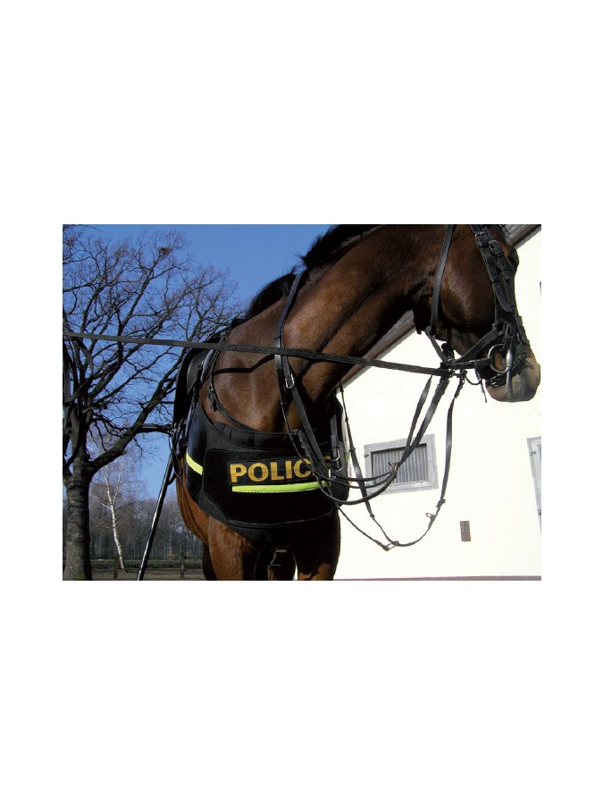 PROTECTION AVANT POUR CHEVAUX PROTECTION PATTES (LA PAIRE) 