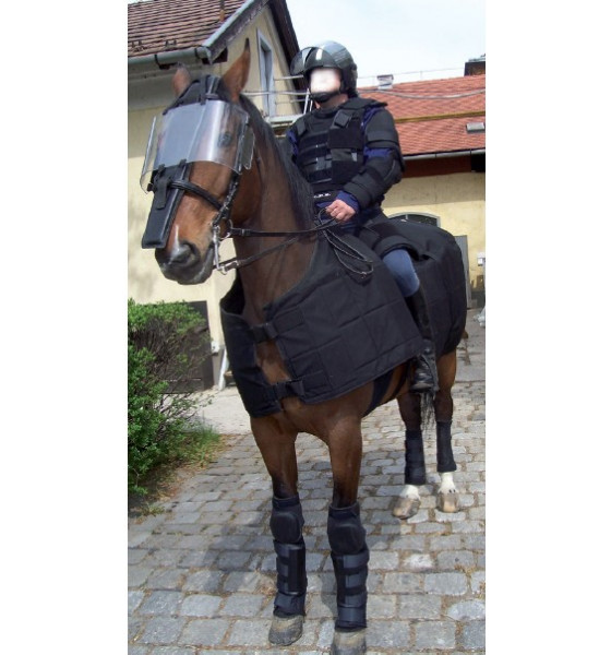 PROTECTION ARRIERE POUR CHEVAUX PROTECTION PATTES (LA PAIRE) 