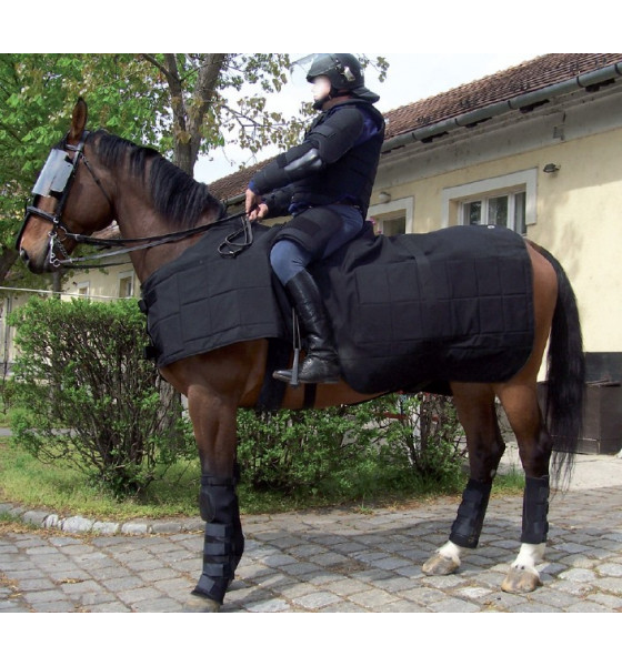 PROTECTION POUR CHEVAUX - PROTECTION NASEAU