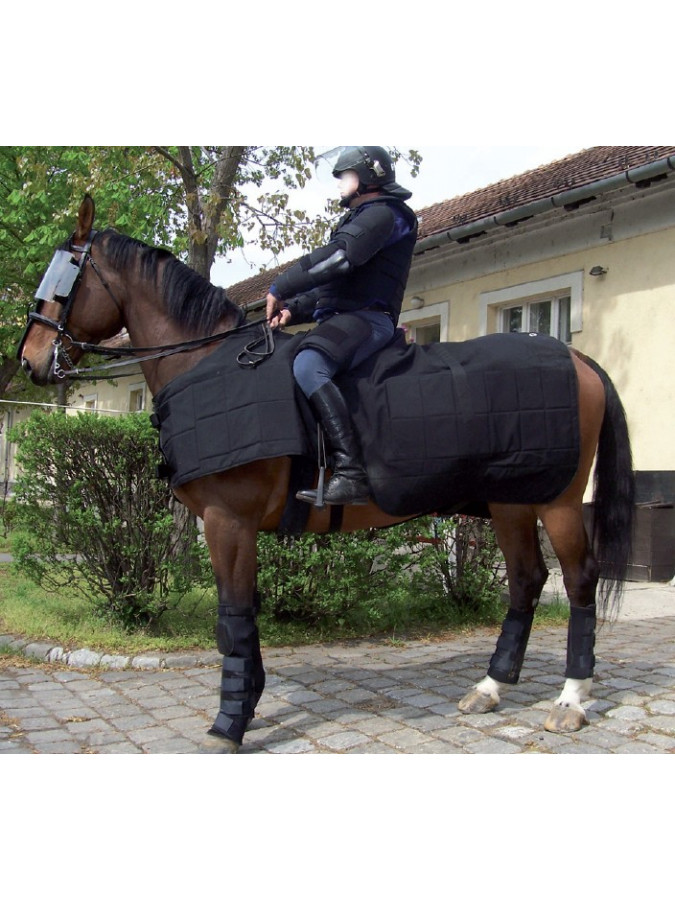 PROTECTION POUR CHEVAUX - VISIERE EN POLYCARBONATE