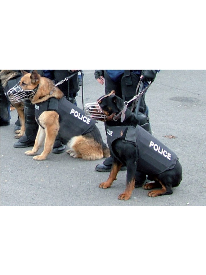 PROTECTION POUR CHIENS - PARE-COUPS ET PARE-LAMES