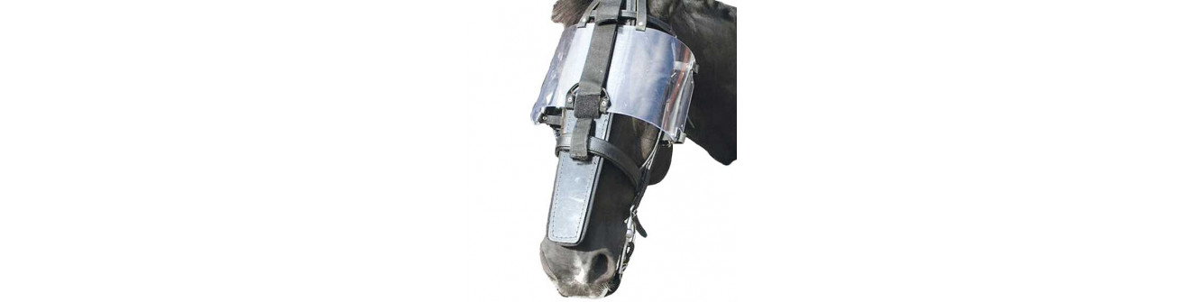 PROTECTIONS CHEVAUX