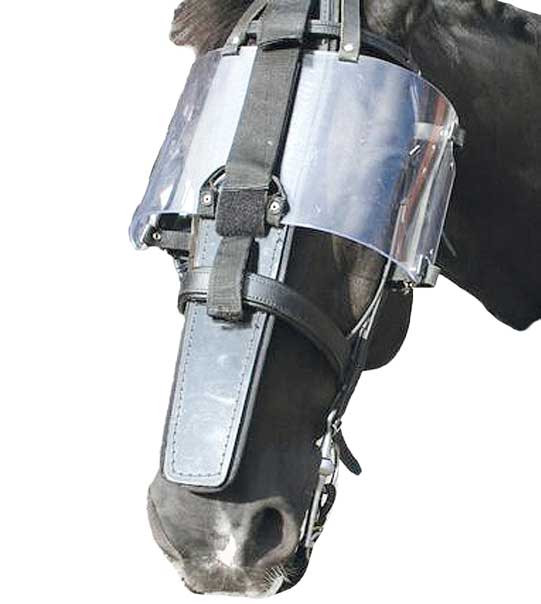 PROTECTIONS CHEVAUX